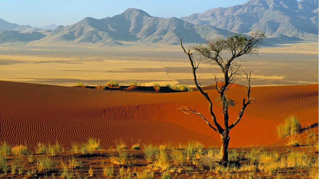 viaggio di nozze namibia e mauritius
