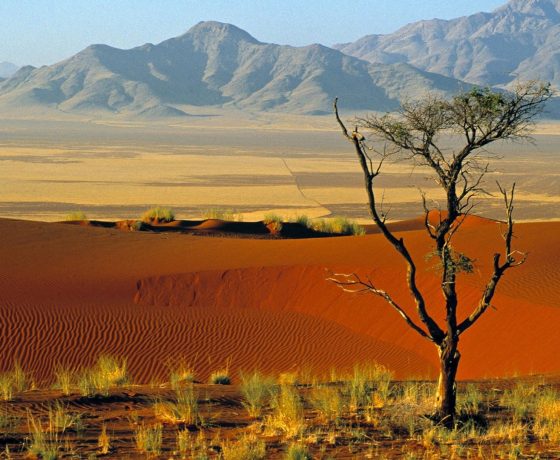 viaggio di nozze namibia e mauritius