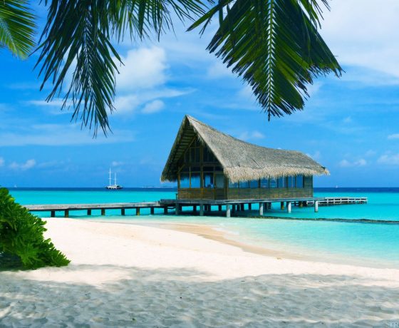 viaggio di nozze miami e bahamas