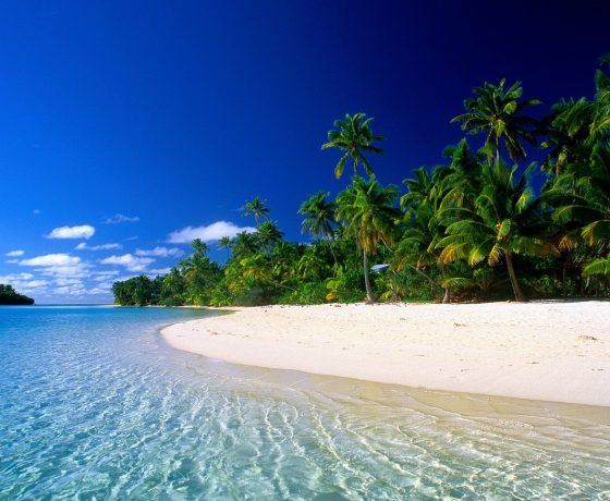 viaggio di nozze california e barbados