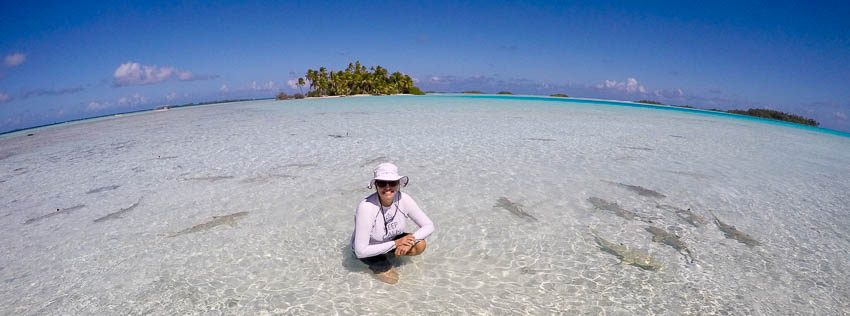 quale isola scegliere
